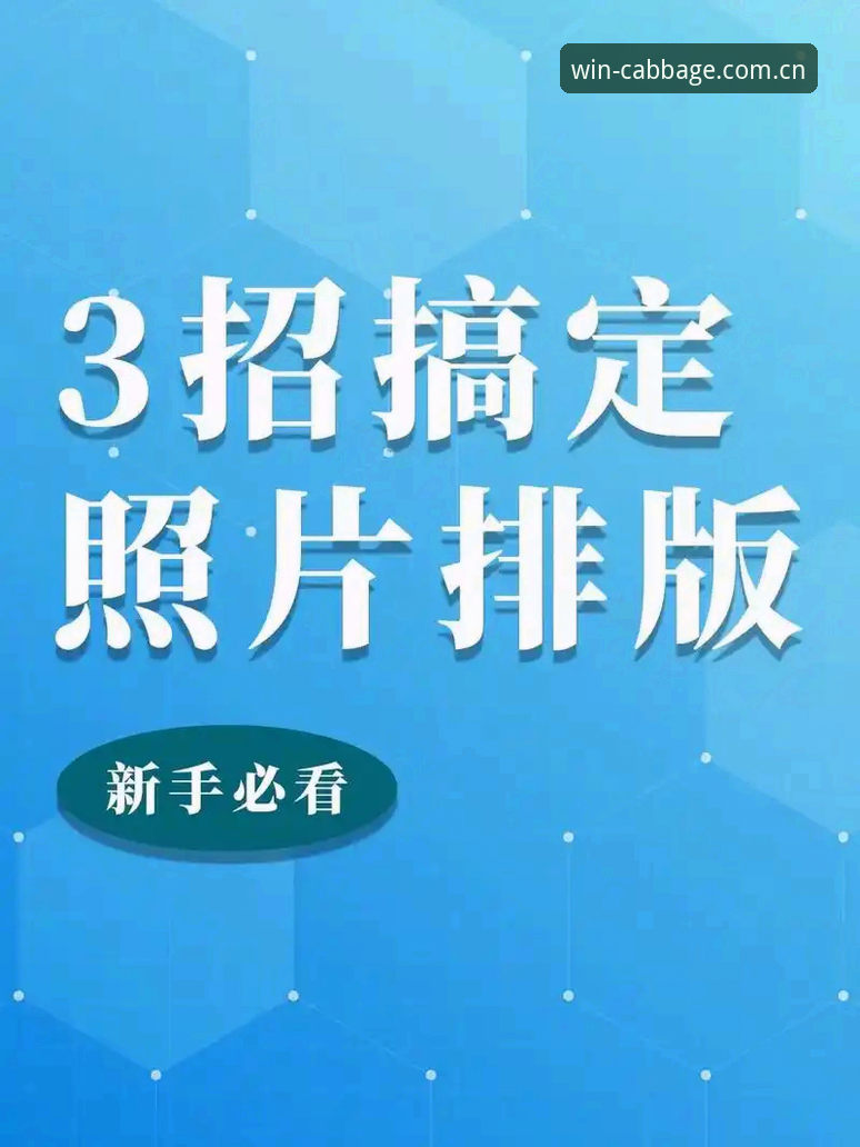 官方最新访问通道 如何找到冠军白菜网论坛官方最新访问通道?资深用户教你三步搞定
